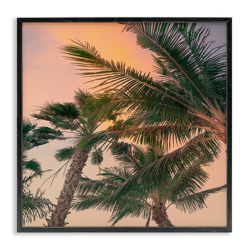 Gathering Palms at Sunset, estampe numérique, design par Susan Jill, H 12 po x l 12 po, Giclée encadrée noir minuit