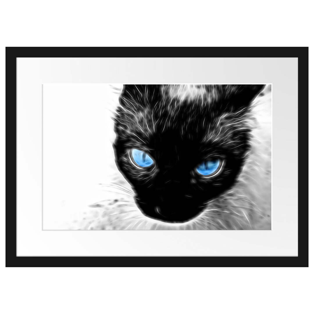 Gerahmtes Poster Blaue Augen Schwarze Katze New Art