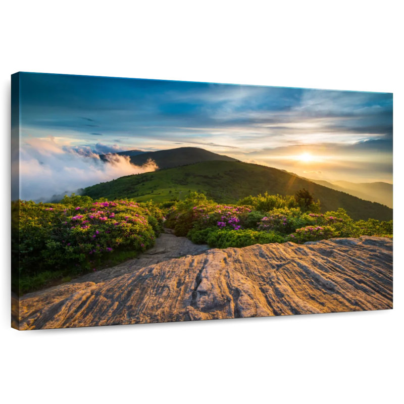 Champ de fleurs des Appalaches Alvord, H 26 po x l 39 po
