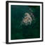 Single Picture Frame Print-18320502