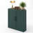 Lula Space-saving Corner Accent Cabinet With Adjustable Shelf-129182872-120884757