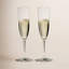 RIEDEL Vinum Champagne Flute (Set of 2)