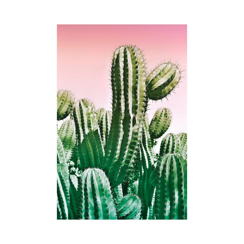 Wild Cactus From The Desert by Beli - Wrapped Canvas Print, 101.6 cm H x 66.04 cm W x 1.91 cm D