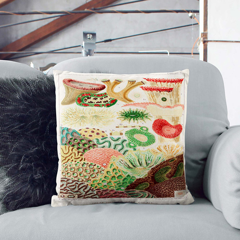 Square Cushion, 55cm H x 55cm W x 20cm D, Black