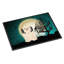 Paillasson Caillo Halloween-18737098