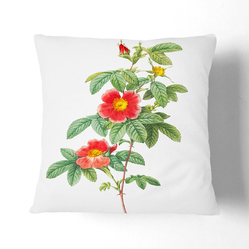 Square Throw Cushion, 55cm H x 55cm W x 20cm D