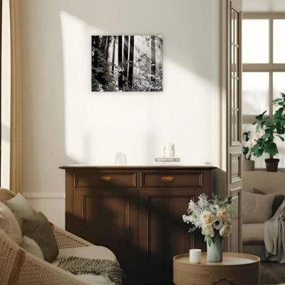 Morning Misty Forest Unframed Canvas Wall Art 24" X 18"