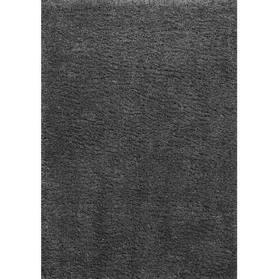 Tapis gris foncé à poils longs Anttwan