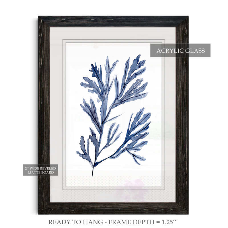 « algues under water i », reproduction d’image sur verre, H 32 po x l 44 po x 1,25 po, Encadré imprimé ébène