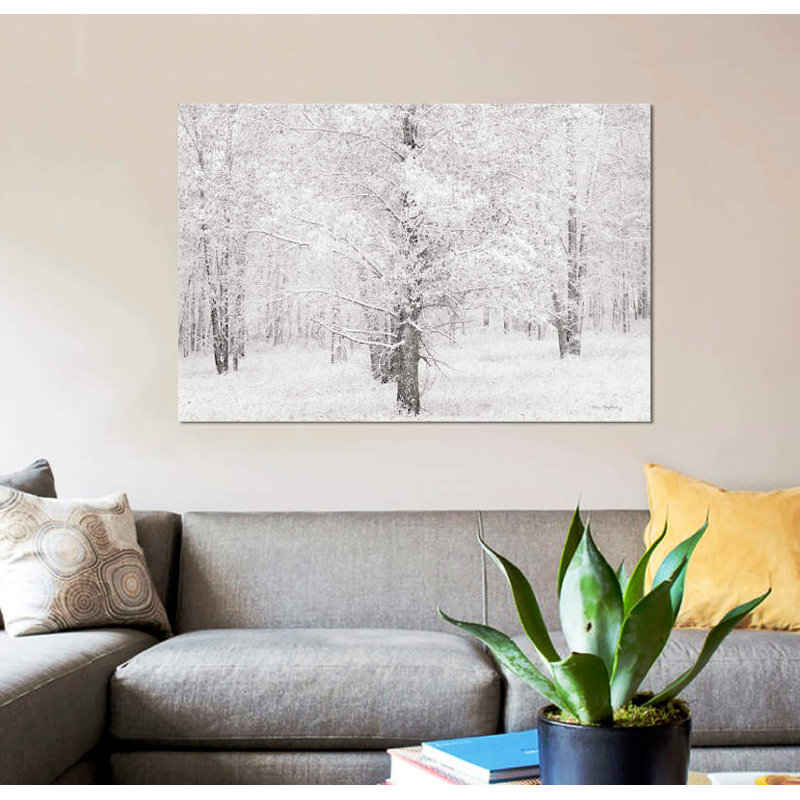 « snow recouvert cottonwood trees » par alan majchrowicz, impression sur toile, H 26 po x l 40 po x P 1,5 po, Toile tendue