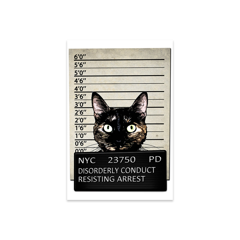 Kitty Mugshot, reproduction sur verre acrylique, H 24 po x l 16 po x P 0,25 po