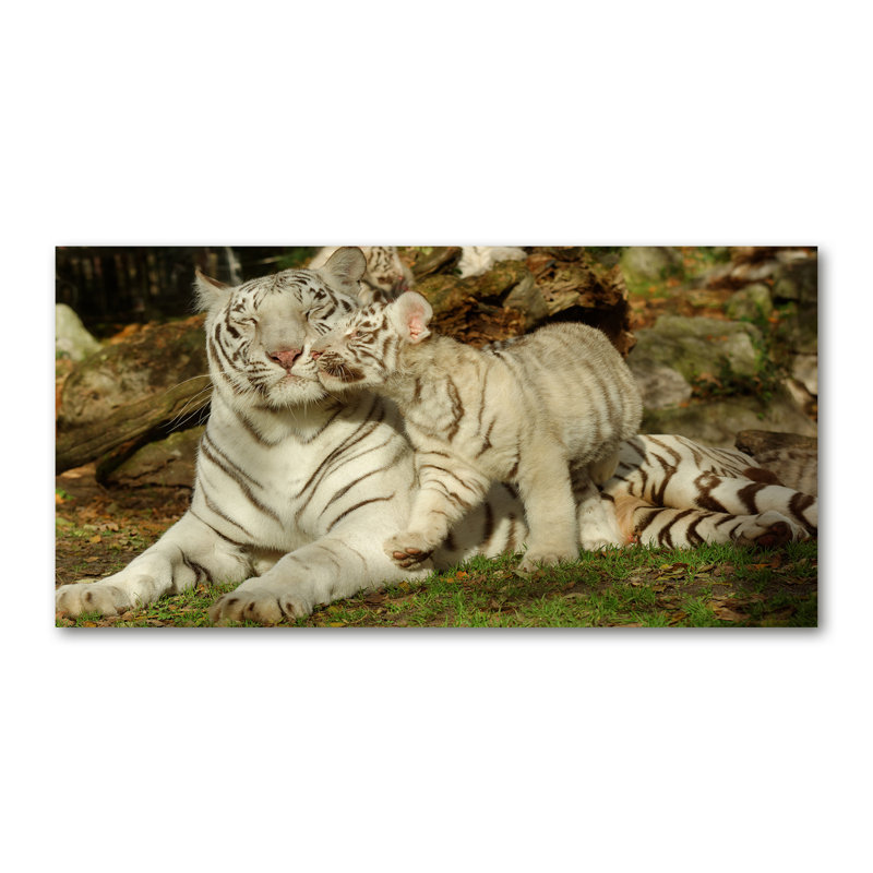 Tigers - No Frame Print on Canvas