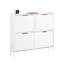 12 Pair Shoe Storage Cabinet