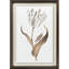 Gilded Tulip - Elegance Print by Marrel Paragon