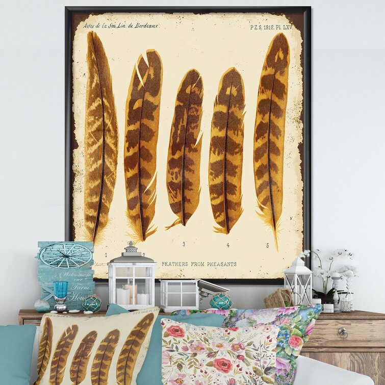 Detail of Pheasant Feathers Wall Art, Canvas Prints, Framed Prints