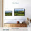 Nature "Mouton dans un champ d'herbe", art mural-101779966