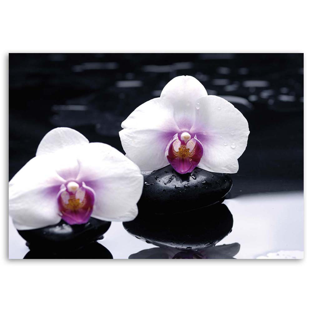 Leinwandbild Orchid in Zen Style 31193