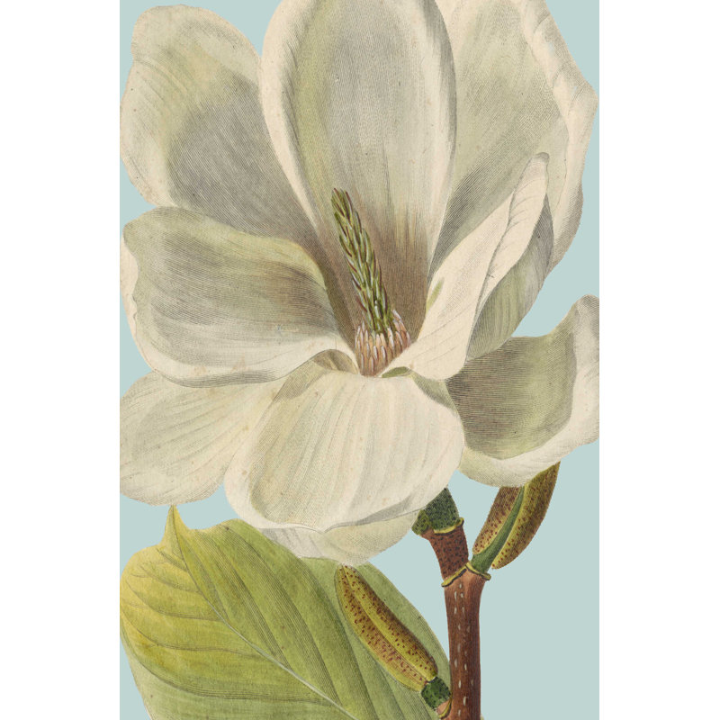 Fleurs fraîches I, H 48 po x l 32 po