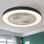 Ventilateur de plafond à profil bas de 19 pouces avec lumière, montage encastré, 5 pales transparentes, finition mate, double DEL à intensité variable, télécommande, pour chambre à coucher, salon, cuisine