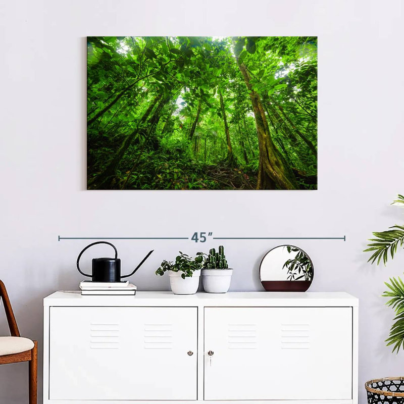 Jungle Alvord Basse-Terre, H 24 po x l 36 po