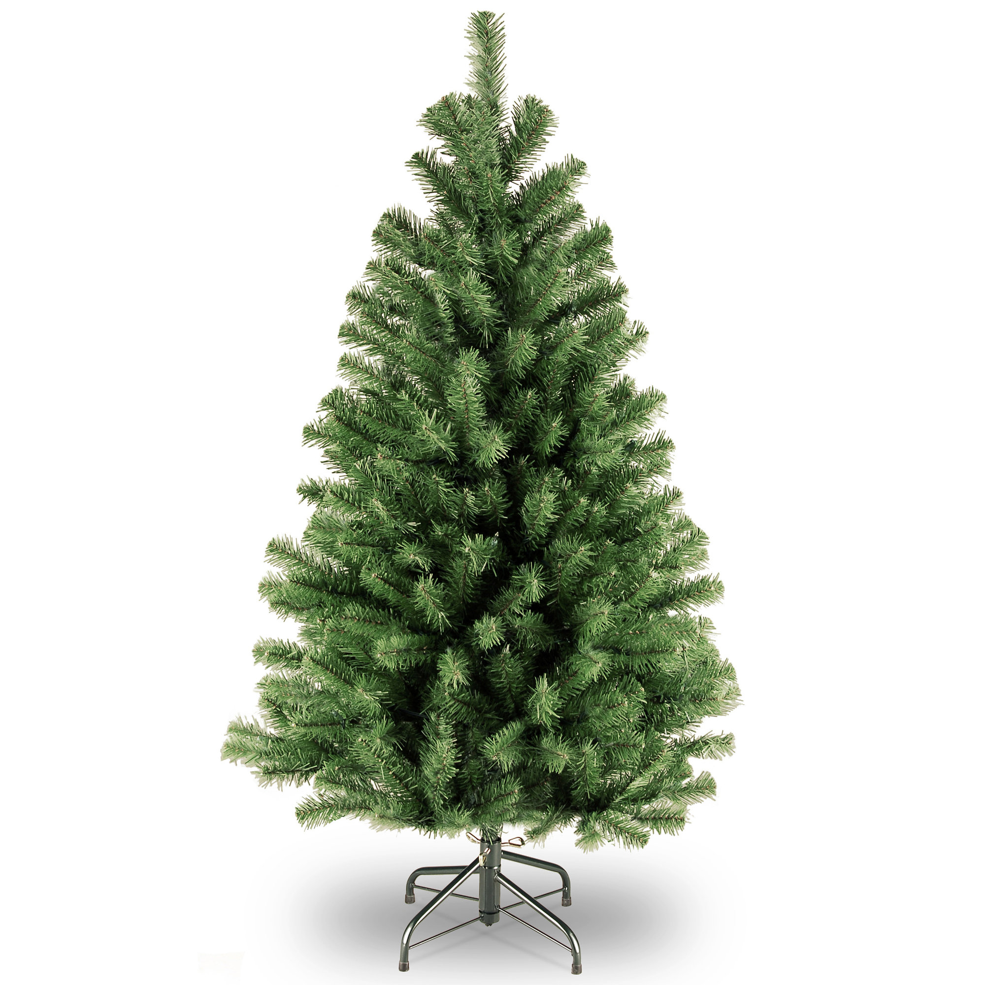  North Valley Spruce Tree, 4 FT