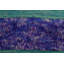 Madgline Wool Floral Rug
