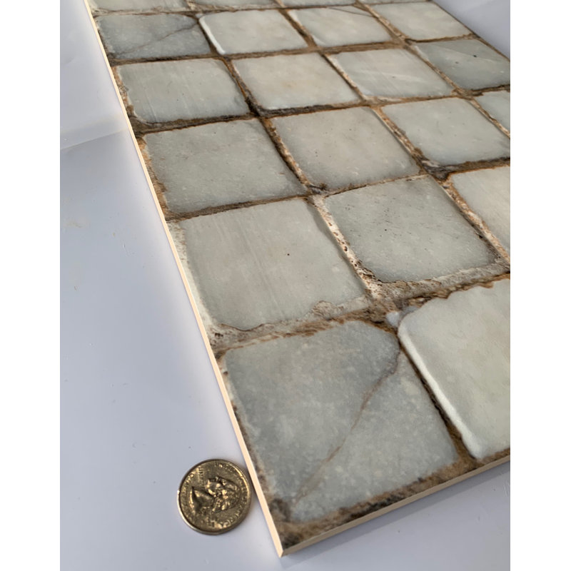 Raja 12" x 24" Ceramic Floor & Wall Tile