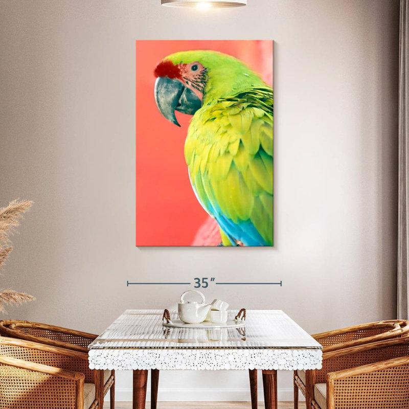 Brampt Green Macaw, 48" H x 32" W