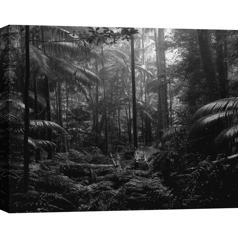 In The Jungle by Pangea Images - No Frame Print on Canvas, 70cm H x 100cm W x 4cm D