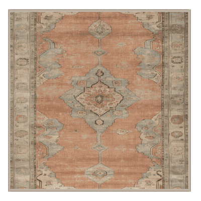 Machine Washable Overdyed Brown Area Rug
