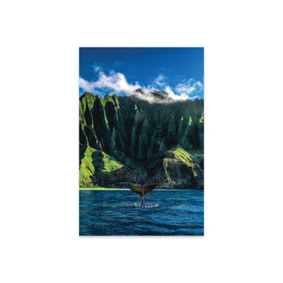 Argelia " Hawaii Nā Pali Coast Whale Tail " by Alex G Perez