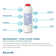 Watersentry® Plus Under Sink Replacement Filter