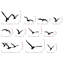 Decorative Metal Wall Accessory Set (11 Pieces), Black Finish, Sizes Range from 10 x 30 cm to 30 x 30 cm, 100% Metal, Thickness: 0 cm, For Home Décor, Unique Bird Designs