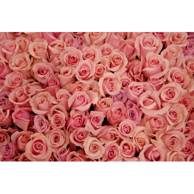 Lit de roses pâles par Lynnseeden
