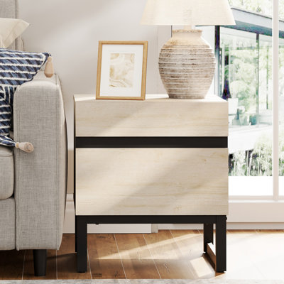 Aadam Modern End Table With 2 Drawers
