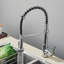 Belfry Kitchen Rydal Pull Down Kitchen Faucet