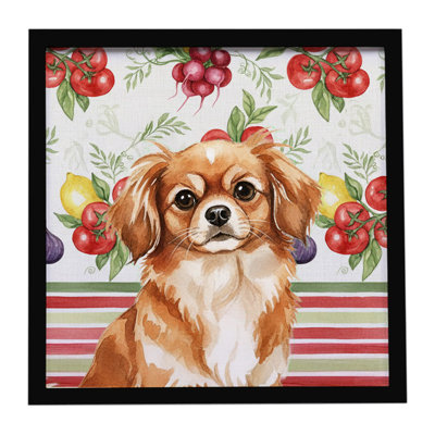 «Red Tibetan Spaniel Légumes», impression sur métal encadrée