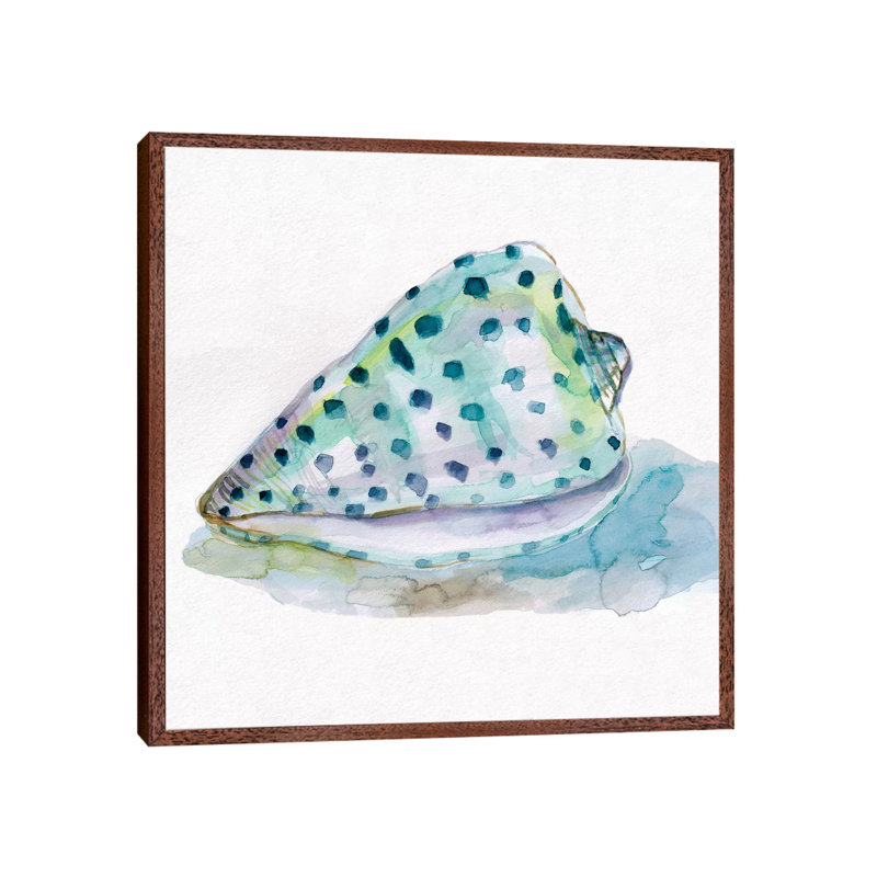 Malecon Shell IV by Carol Robinson - Print on Canvas, Classic Brown Wood Framed, 66.04 cm H x 66.04 cm W