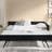 Velvet Black Full Size Upholstered Bed With Trundle, Comfortable Back And , Vertical Stripe On , Suitable For Bedroom Office, Easy Assembly, Strong Eucalyptus Wood Frame Daybed In Pattern A Cute