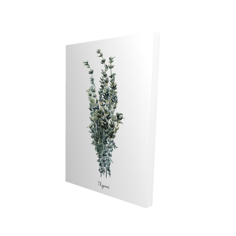 Thyme Leaves Bundle - En | Kitchen Canvas for Home Decor