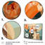 Ensemble de 4 impressions murales Mid-Century-730431394