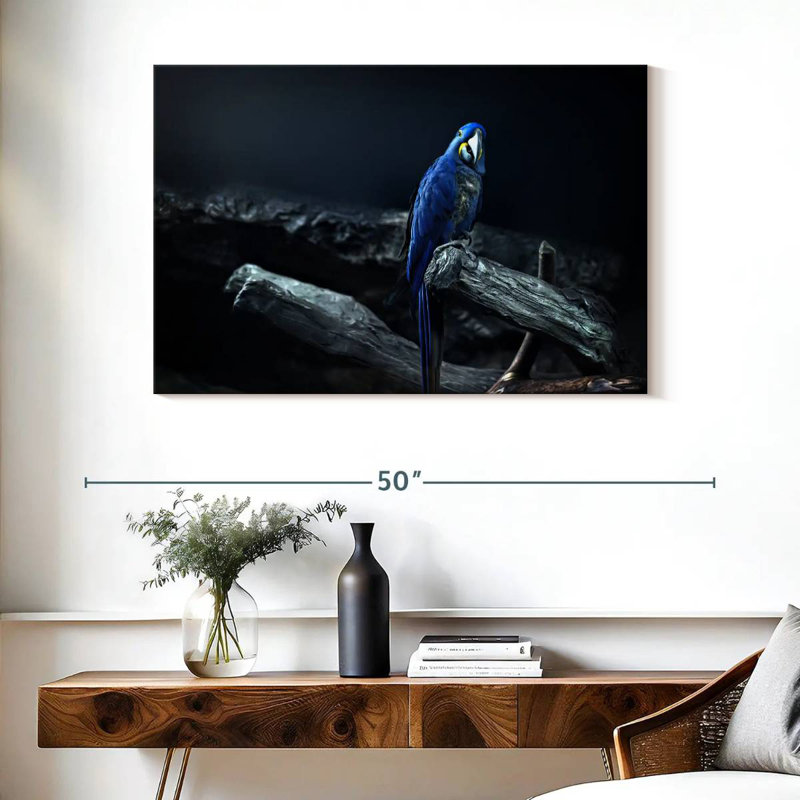 Brampt Hyacinth Macaw