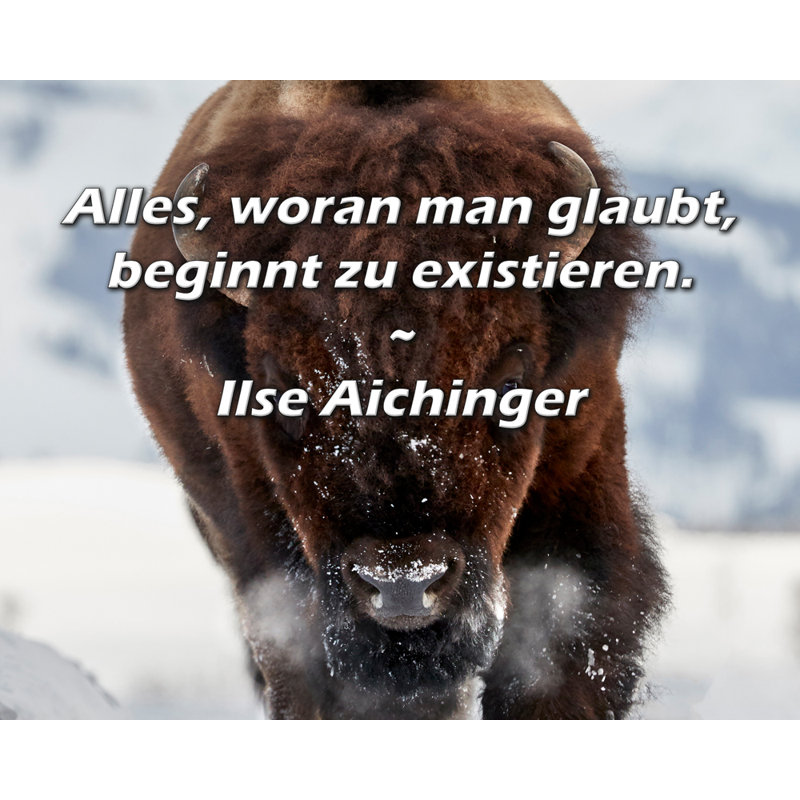 Toile tendue avec toile Trinx par Ilse Aichinger: «Alles, H 17 po x l 24 po