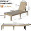 Outdoor Lounge Chairs Set Of 2