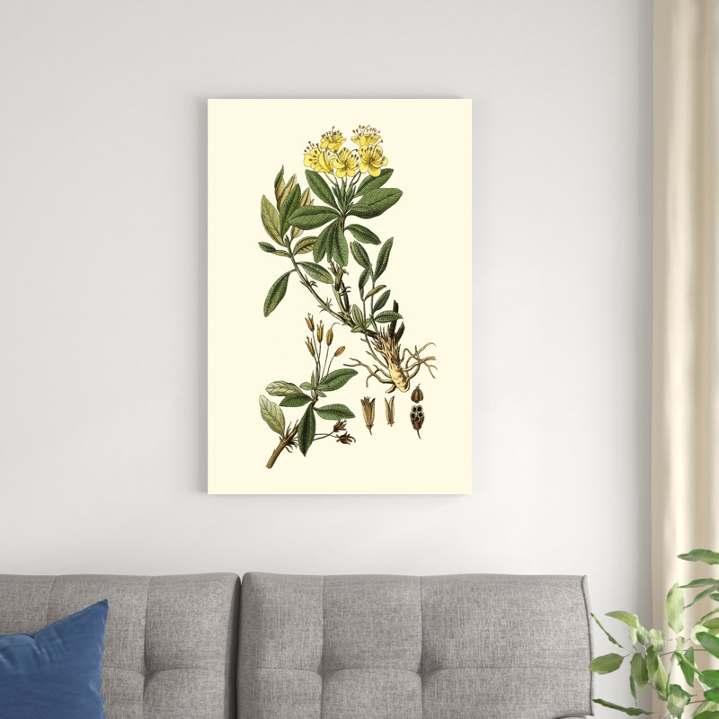 Olive Greenery IV - peinture sur toile tendue, H 36 po x l 24 po x P 1,25 po