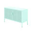 Buffet décoratif 2 portes Beejay Steel-940603655-953563225