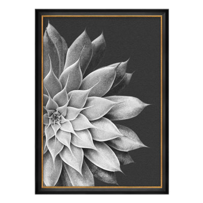 Monochromes noirs et blancs succulentes, illustrations botaniques encadrées, décoration murale