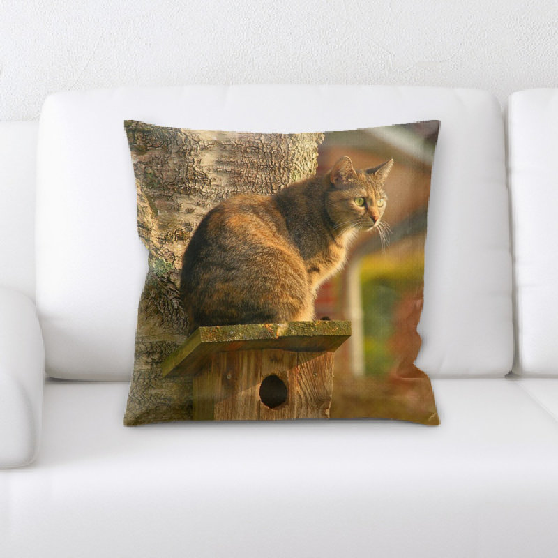 Coussin pour chat