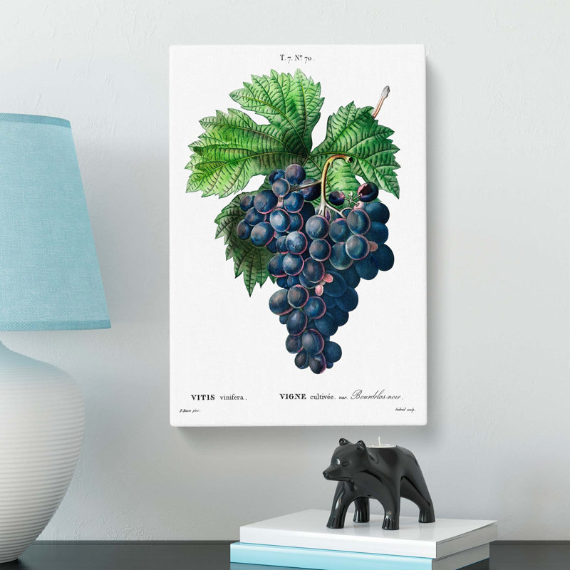 Blue Grapes by Pierre-Joseph Redoute - Wrapped Canvas, 60cm H x 40cm W x 3cm D