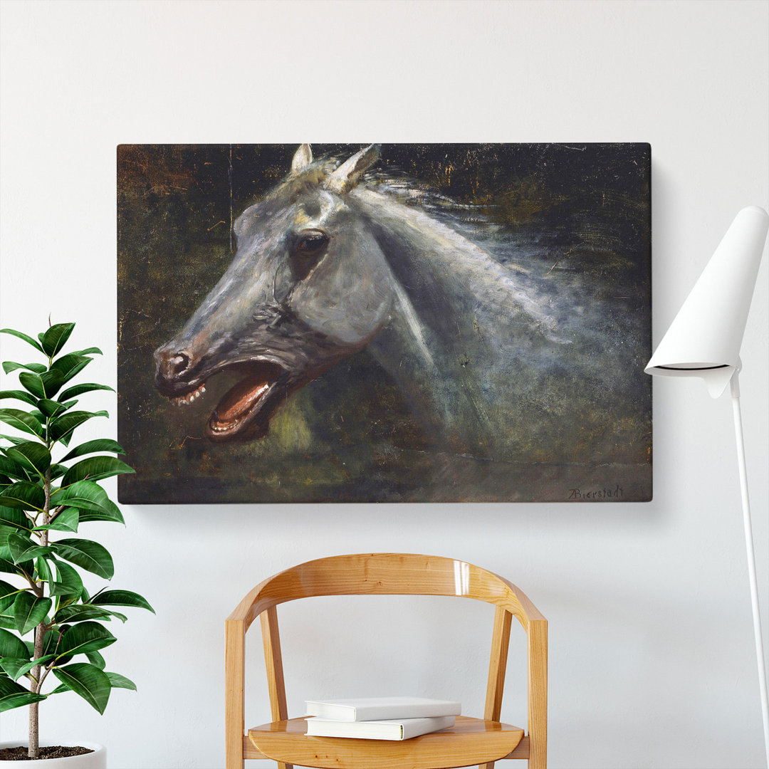 A Wild Stallion by Albert Bierstadt - Wrapped Canvas